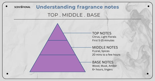 Fragrance Notes 101: Why Your Perfume Smells Different by 3pm